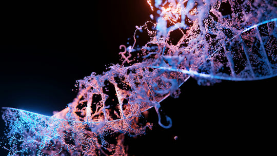 Collagen Amino Acids
