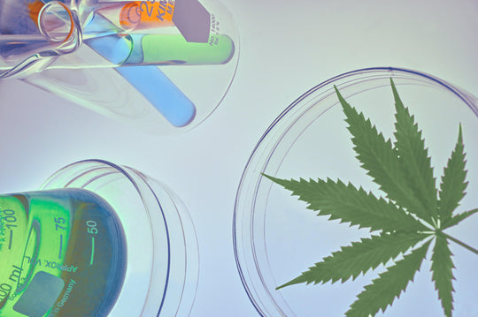 CBD